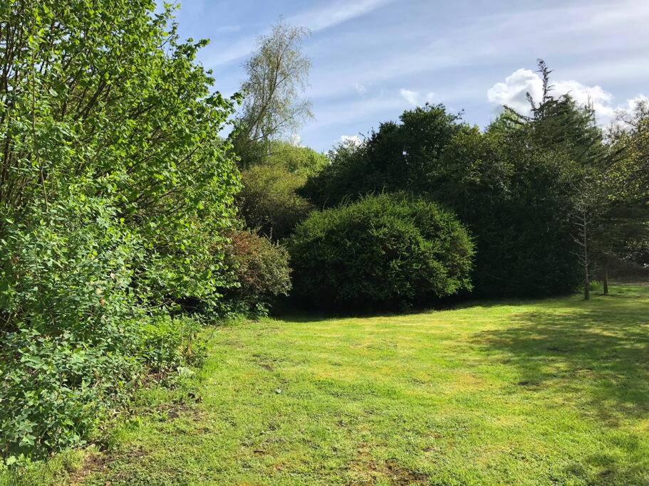 Forestry Cottage. Hot Tub, Open Fire, Dog Friendly Gaywood Exterior foto